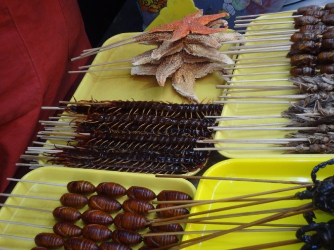 Centipedes, grubs, snakes and starfish, spiders and scorpions