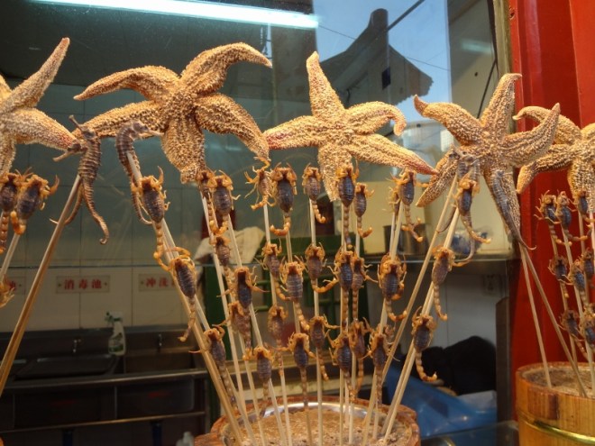 The scorpions are put on the sticks still alive and wriggling