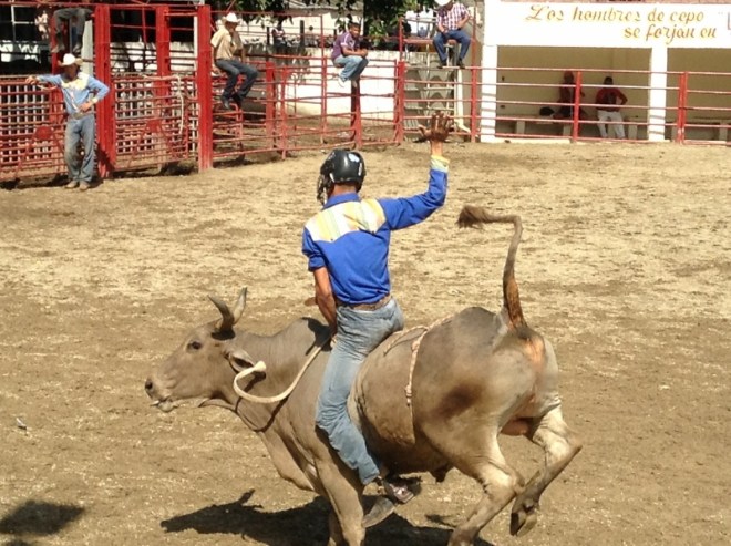 Bull Riding